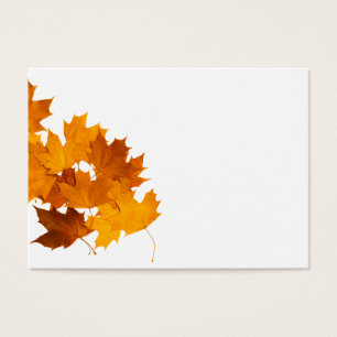 Maple leaves
