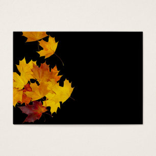 Maple leaves