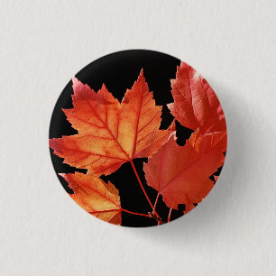 Maple Leaves 3 Cm Round Badge