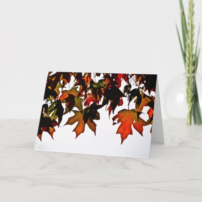 Maple Leaves Autumn Glow Greeting Cards (Front)