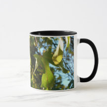 Maple leaves,fall,autumn