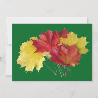 Maple Leaves Holiday Card