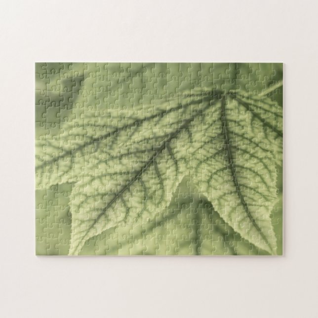 Maple Leaves Jigsaw Puzzle (Horizontal)