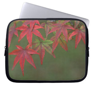 Maple Leaves, Katsura, Kyoto, Japan Laptop Sleeve