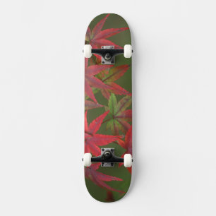 Maple Leaves, Katsura, Kyoto, Japan Skateboard