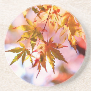 Maple Leaves Landscape Design-21355 Coaster