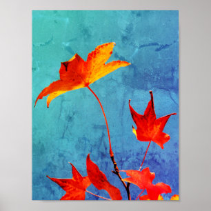 Maple Leaves Poster