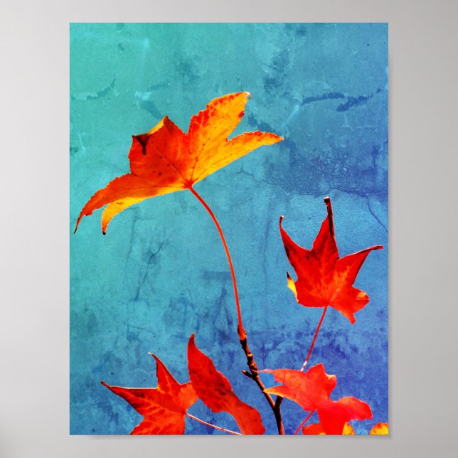 Maple Leaves Poster (Front)