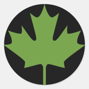 maple leaves - Stickers
