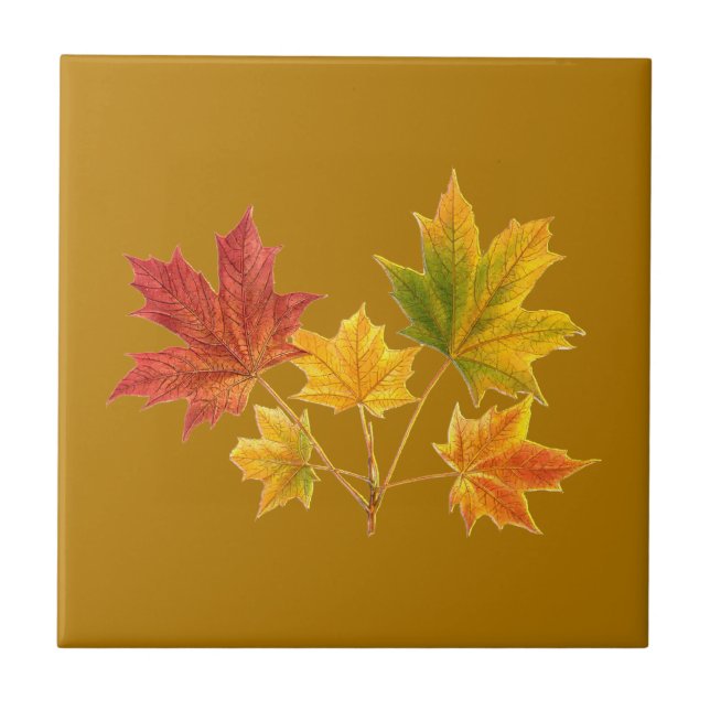 Maple Leaves Tile (Front)