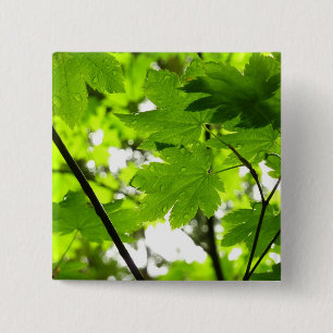 Maple Leaves with Raindrops 15 Cm Square Badge