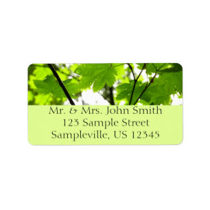 Maple Leaves with Raindrops Label