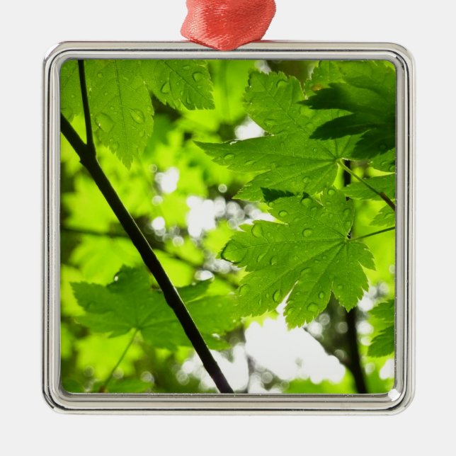 Maple Leaves with Raindrops Metal Tree Decoration (Front)