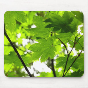 Maple Leaves with Raindrops Mouse Mat