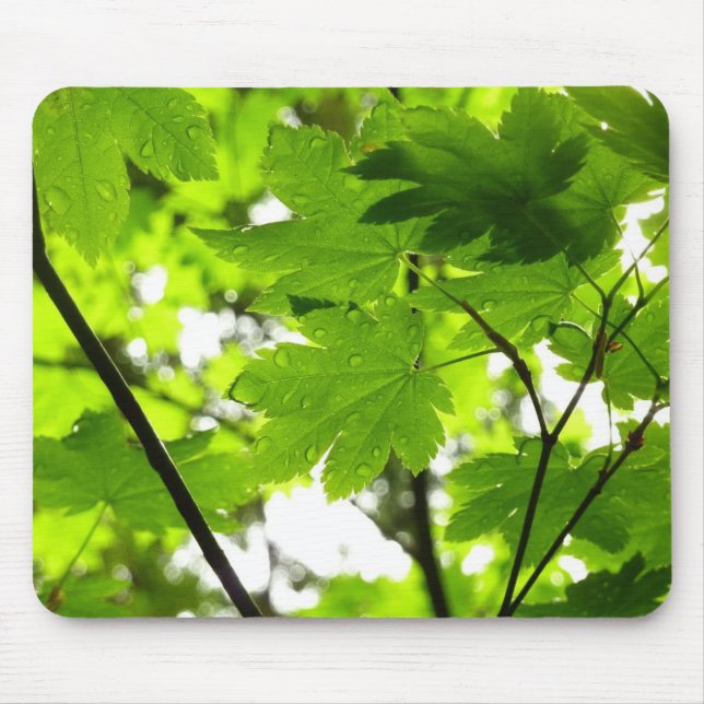 Maple Leaves with Raindrops Mouse Mat (Front)