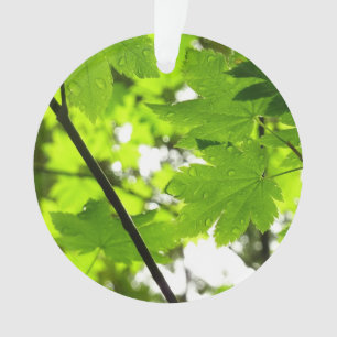 Maple Leaves with Raindrops Ornament