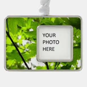 Maple Leaves with Raindrops Silver Plated Framed Ornament