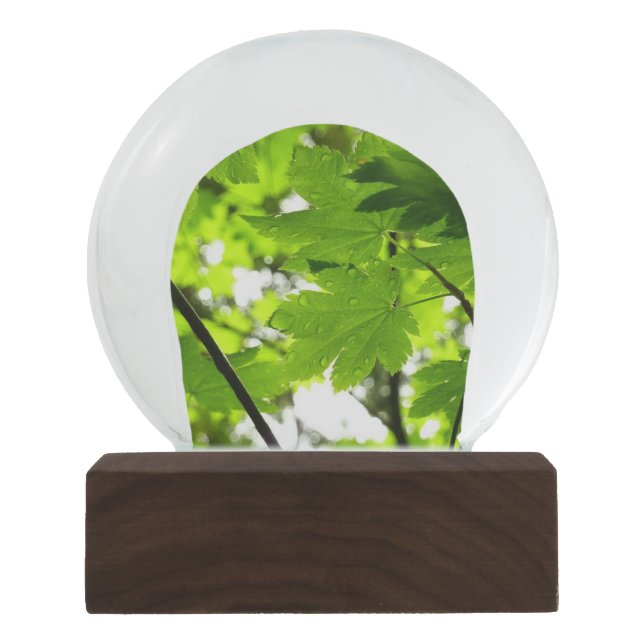 Maple Leaves with Raindrops Snow Globe (Front)