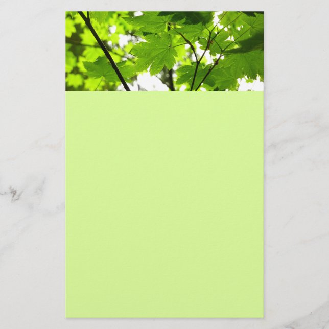Maple Leaves with Raindrops Stationery (Front)