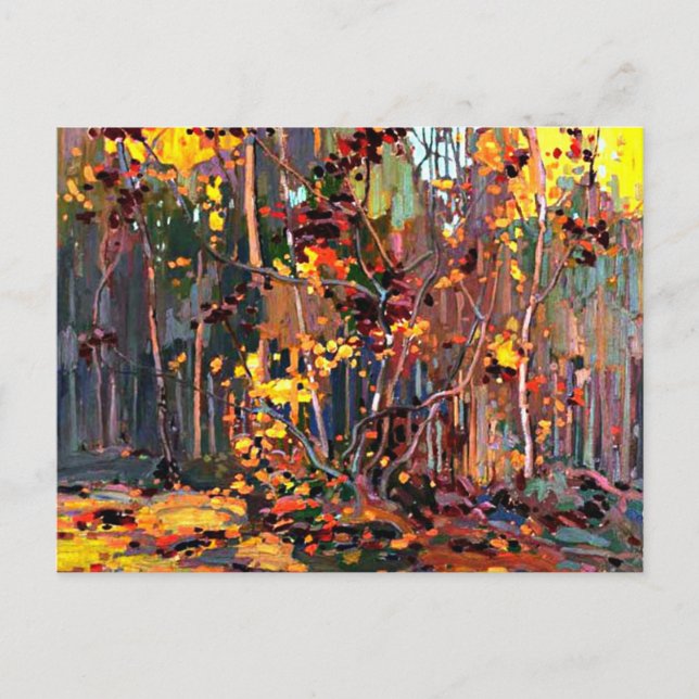 Maple Saplings, fine art painting by Tom Thomson, Postcard (Front)
