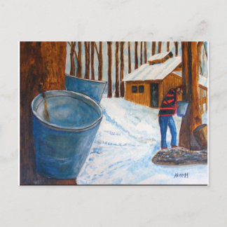 Maple Sugar Bush Postcard