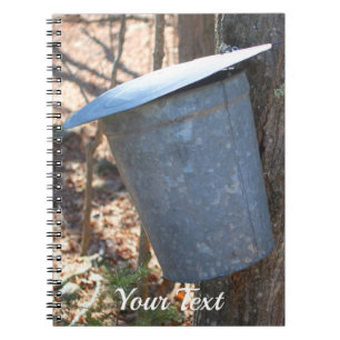 Maple Sugar Sap Bucket On Tree Nature Notebook