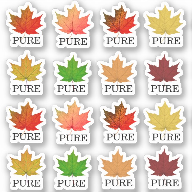 Maple Syrup Jug Toppers Maple Leaf PURE Sticker (Front)