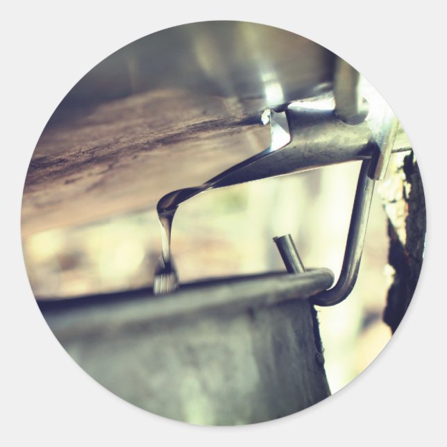 Maple Syrup Sap Running Nature  Classic Round Sticker (Front)