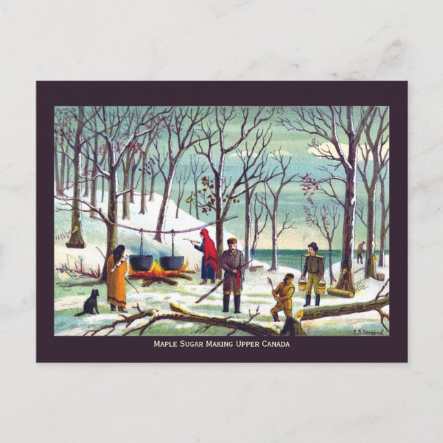 Maple Syrup Sugar Making Upper Canada Postcard (Front)