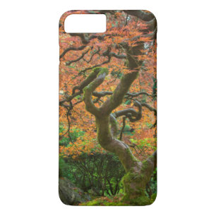 Maple Tree At The Japanese Gardens In Autumn iPhone 8 Plus/7 Plus Case