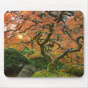 Maple Tree At The Japanese Gardens In Autumn Mouse Mat