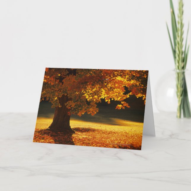 Maple tree , Bennington , Vermont Card (Front)