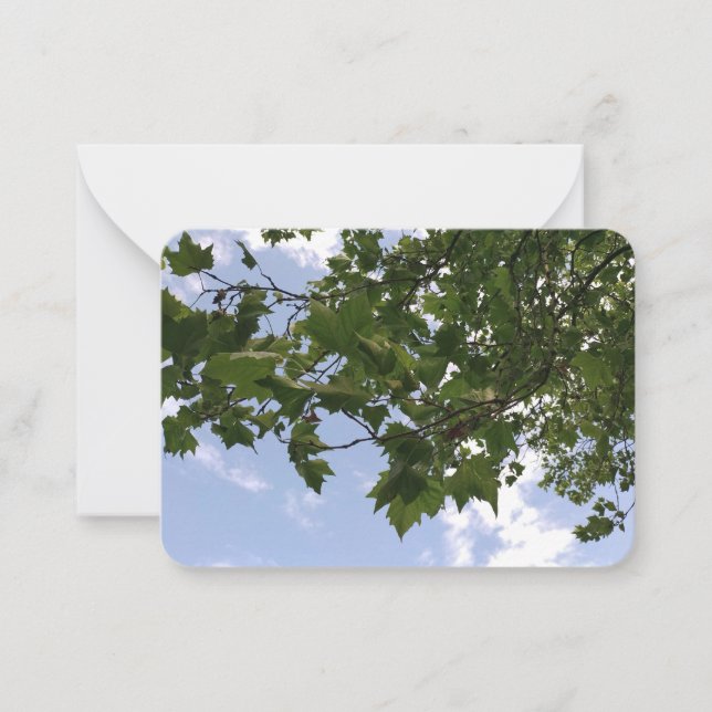 Maple tree card (Front)