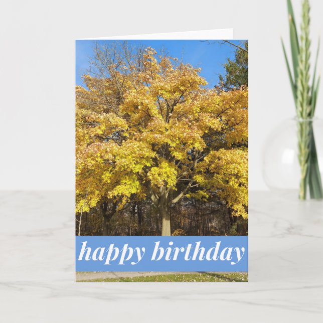 Maple Tree in Autumn Birthday Card (Front)