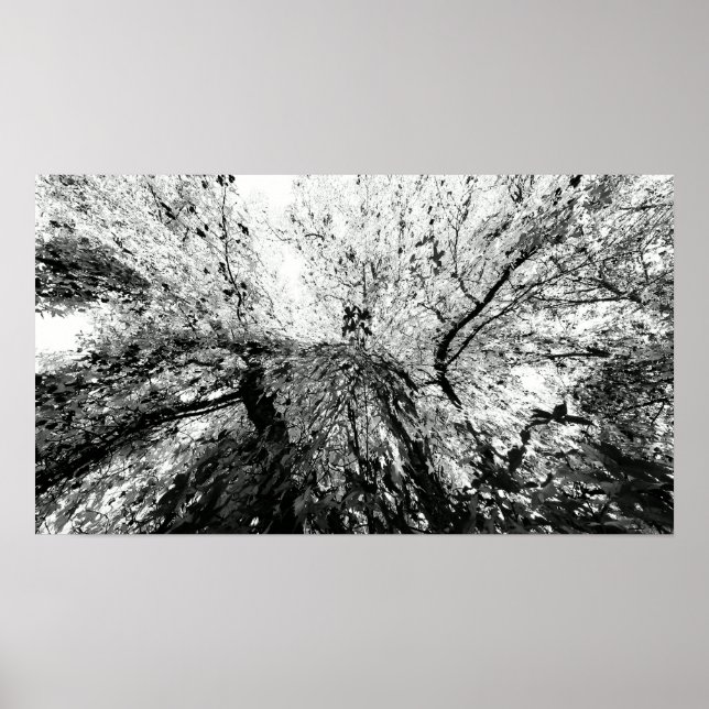 Maple Tree Inkblot Photograph Poster (Front)