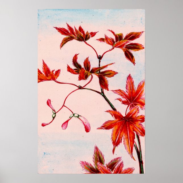 Maple Tree Leaves and Seeds 1870 Poster (Front)