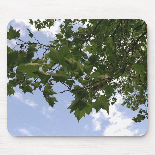 Maple tree  mouse mat (Front)