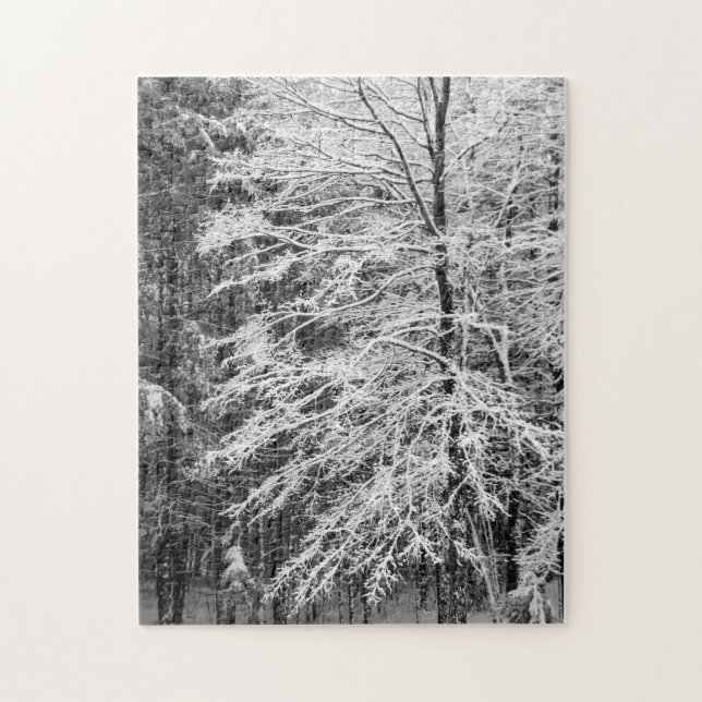 Maple Tree Outlined In Snow Jigsaw Puzzle (Vertical)