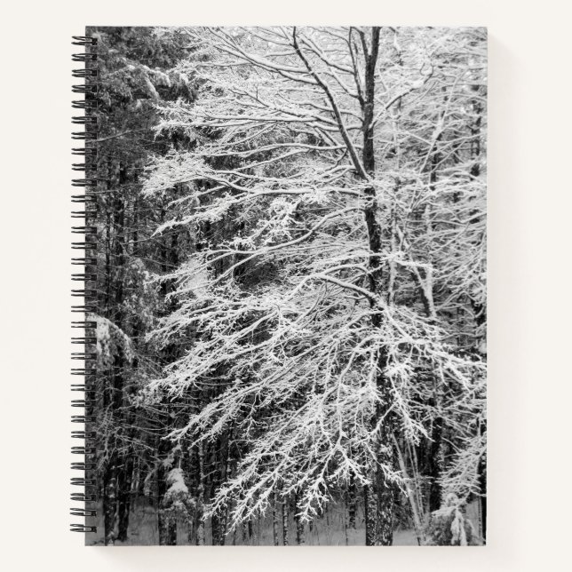 Maple Tree Outlined In Snow Journal (Front)