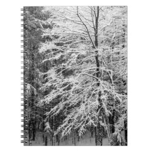 Maple Tree Outlined In Snow Notebook