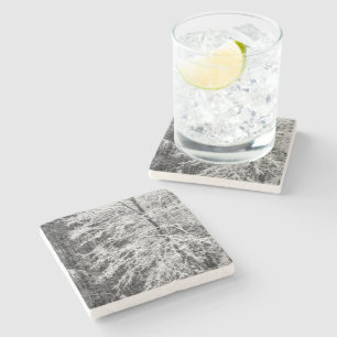 Maple Tree Outlined In Snow Stone Coaster