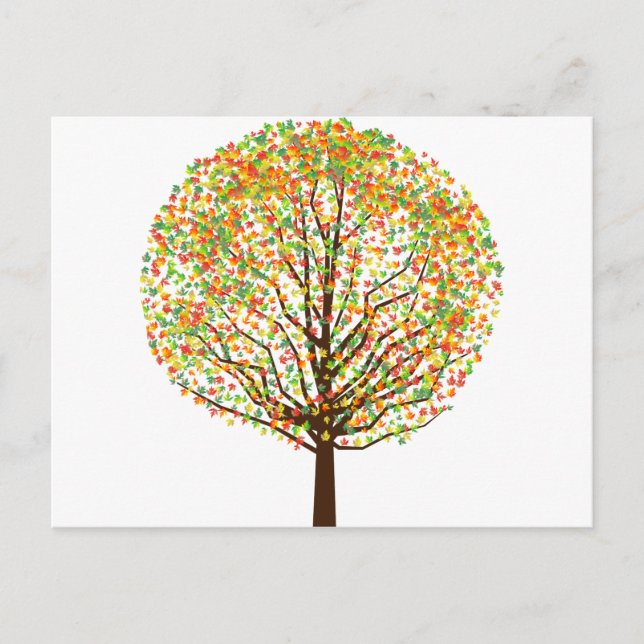 Maple Tree Postcard (Front)