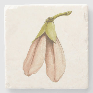 Maple Tree Seed Stone Coaster