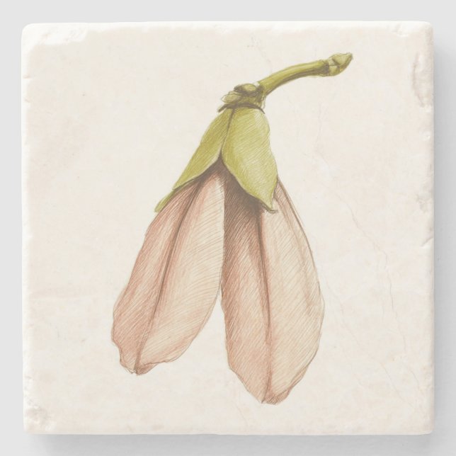 Maple Tree Seed Stone Coaster (Front)