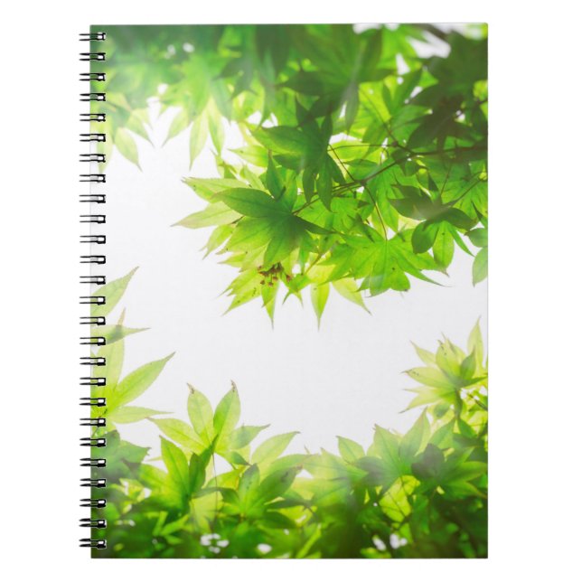 Maple tree tree leaf twig texture notebook (Front)