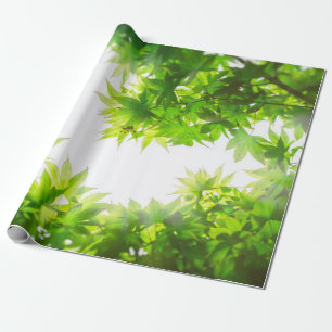 Maple tree tree leaf twig texture wrapping paper