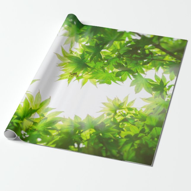 Maple tree tree leaf twig texture wrapping paper (Unrolled)