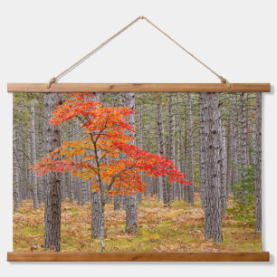 Maple Tree with Autumn Colours Hanging Tapestry