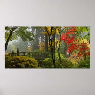 Maple Trees Fall Colours in Japanese Garden Poster