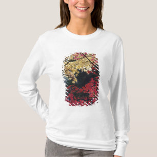 Maple trees in autumn colour T-Shirt